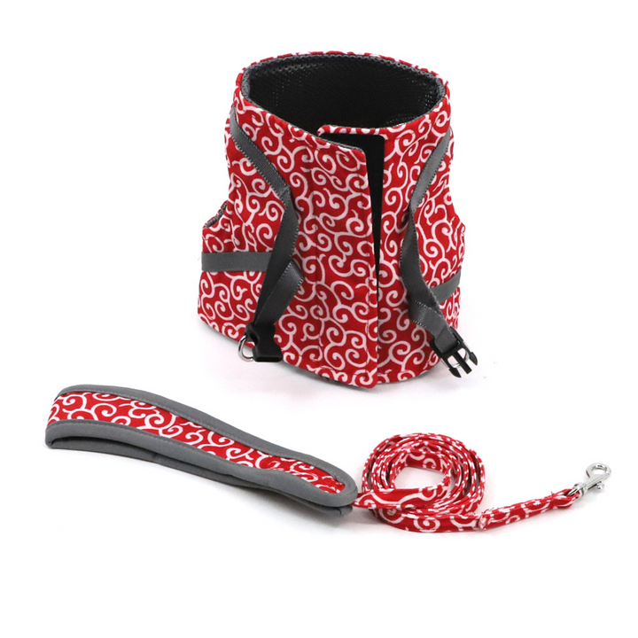 BowLift | Stylish Cat Harness with Matching Leash - Comfortable and Easy to Wear, Adjustable Fit for Cats and Kittens
