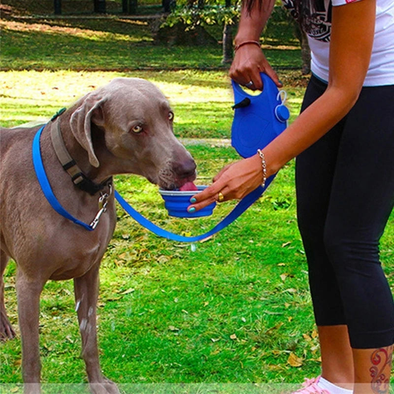 BowLift | 4 in 1 Dog Retractable Leash