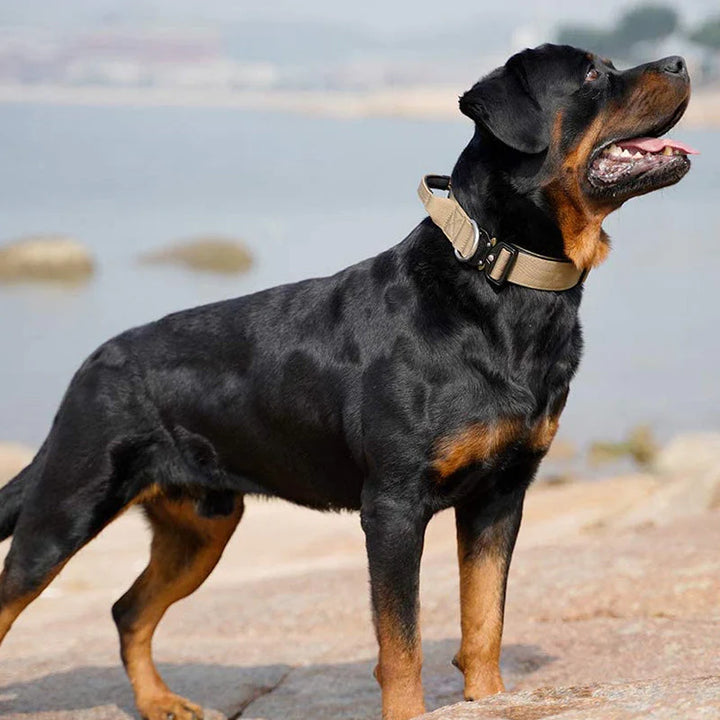 Tactical Dog Collar with Handle – GripMaster Bowlift