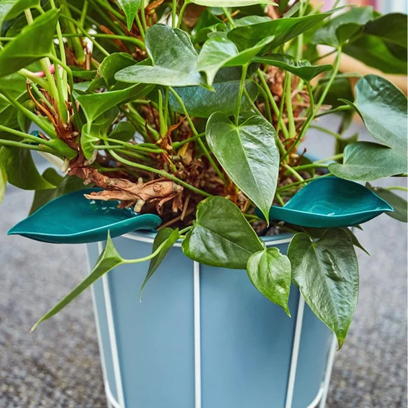 BowLift | Funny Watering Leaves (6pcs)
