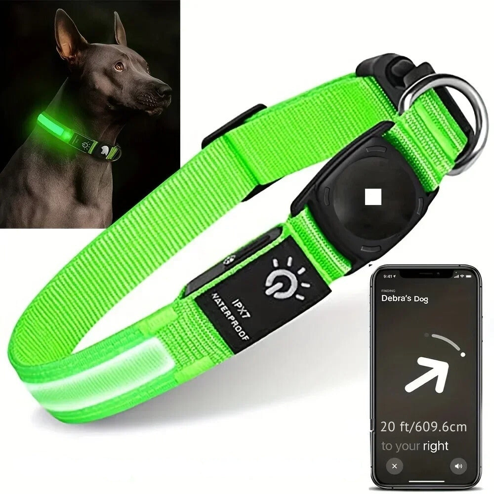 BowLift | Flashing Dog Collars – Waterproof LED Light Up Dog Collar with USB Rechargeable Glow, Dog Collars Illuminated for Night Safety, All Sizes