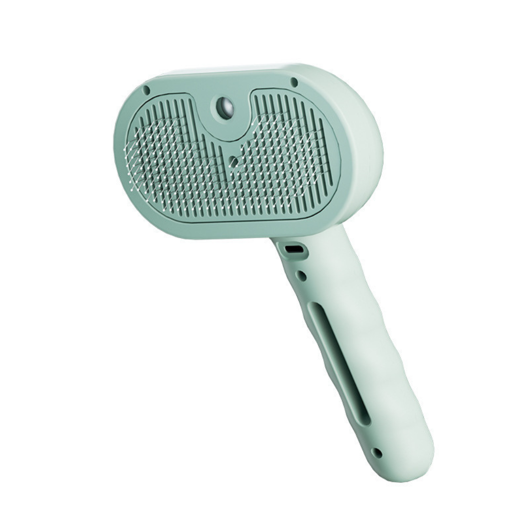 Premium pet brush with steam function Bowlift