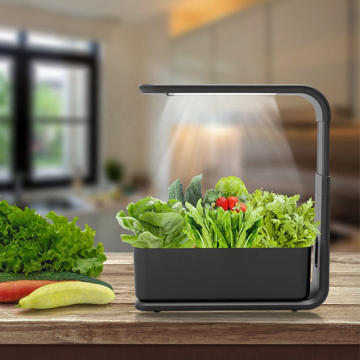 BowLift | Slim Hydroponic Plant System for Indoor - GreenBloom Hydro