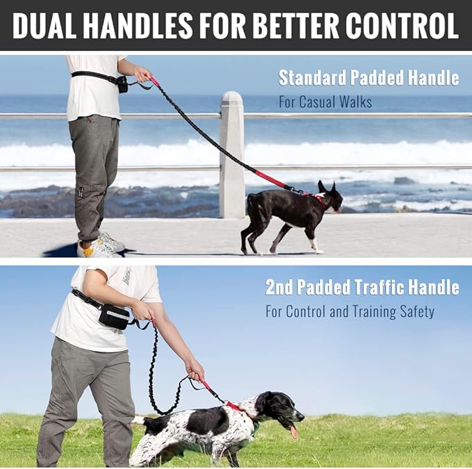 FlowLeash — Experience gentle control and relaxed walks without jerks! | Bowlift