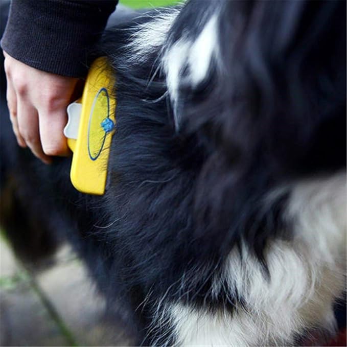 Professional hair removal brush for dogs & cats Bowlift