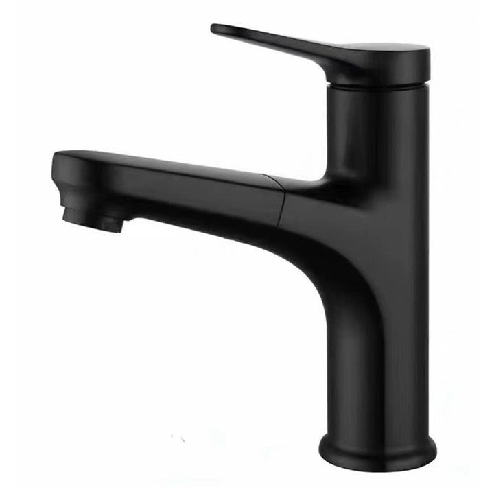 BowLift | Contemporary Style Faucet Single Lever Mixer with Swivel Spout