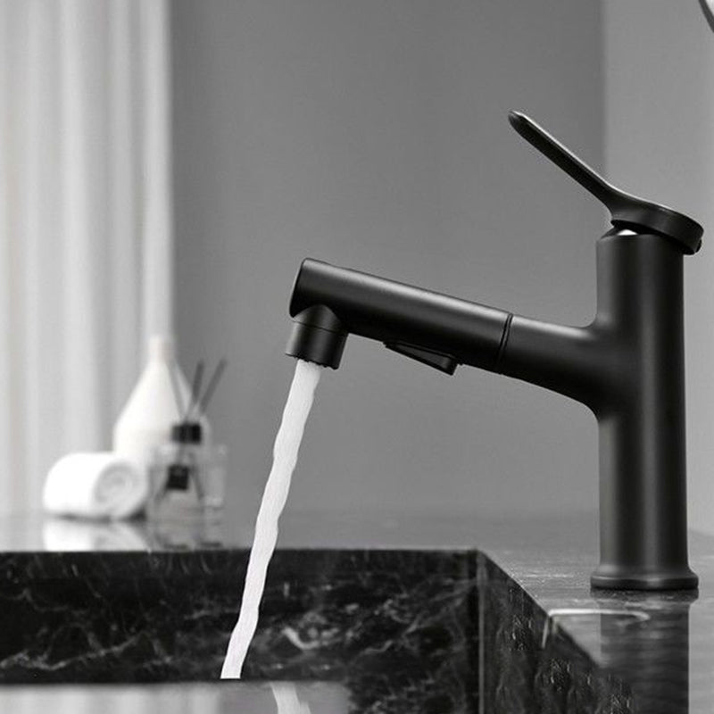 BowLift | Contemporary Style Faucet Single Lever Mixer with Swivel Spout