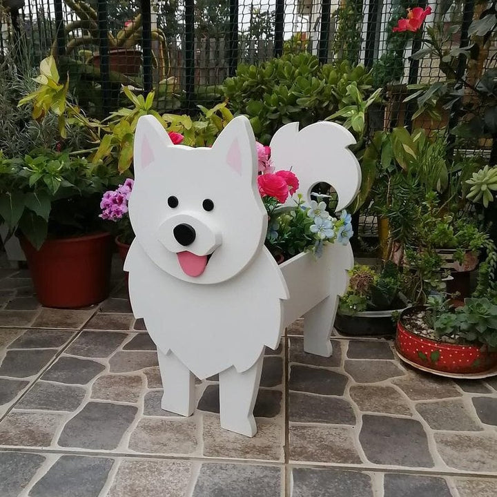 BowLift | PawPlanter Green Pet Oasis