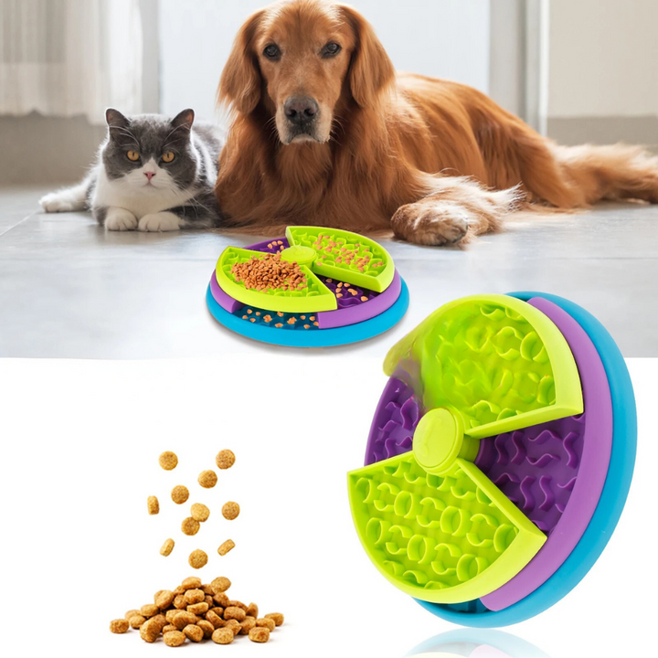 Engagement Feeding Bowl with Different Levels Bowlift