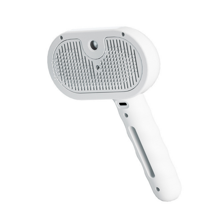 Premium pet brush with steam function Bowlift