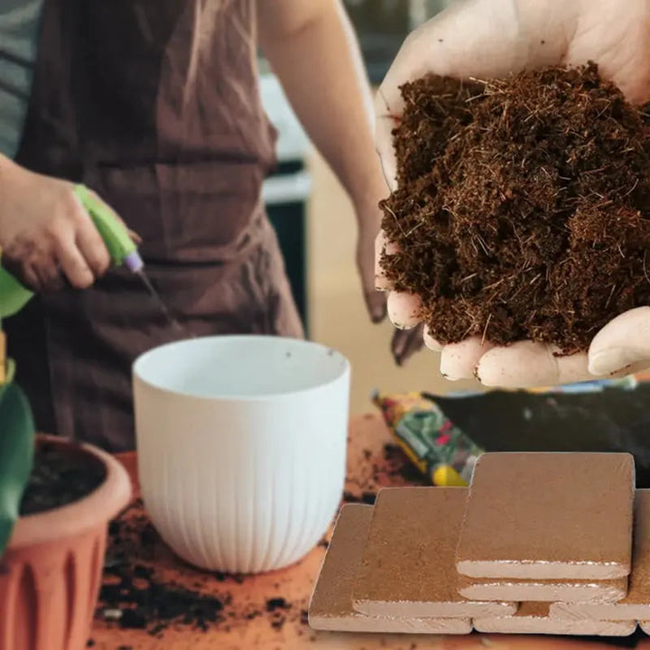 BowLift | Organic coconut fiber soil alternative for horticulture