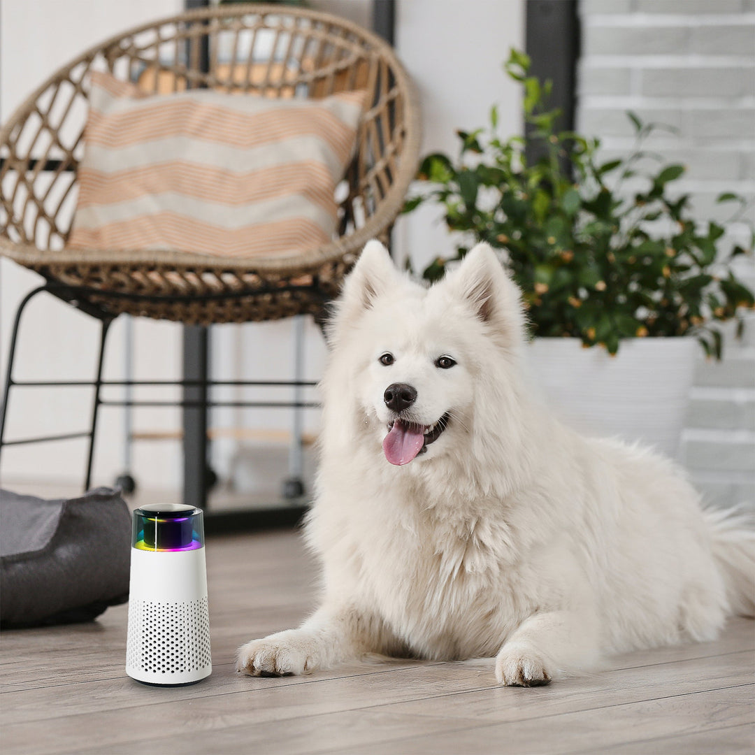 PetFresh - Aromatische Geurverspreider voor Huisdieren Bowlift