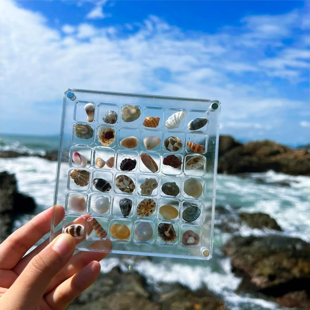 Acryl-Treasure Keeper | Store your Sea collection stylishly | Bowlift