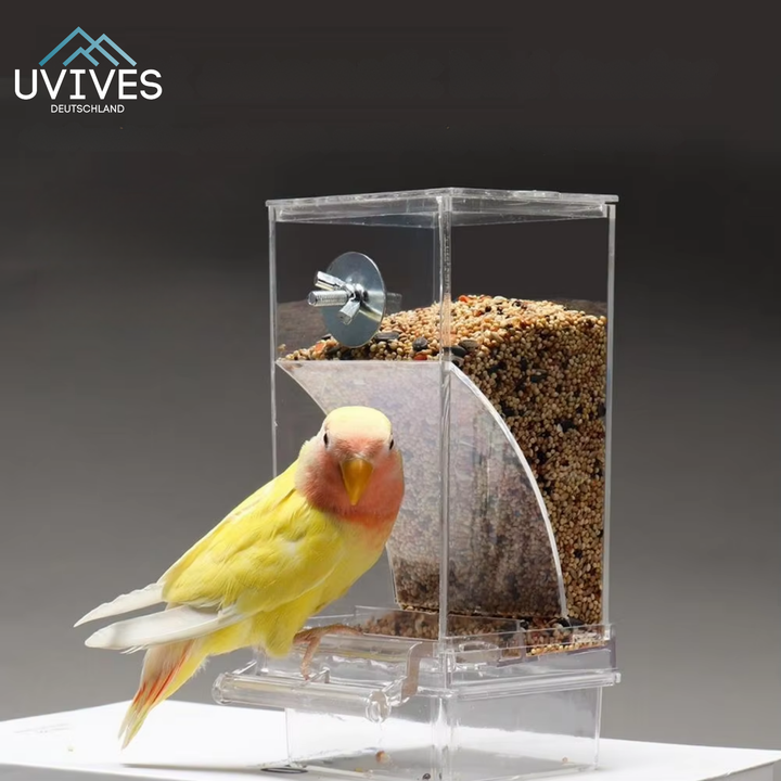 BowLift | BirdFeed – Clean feeding, satisfied birds, less effort