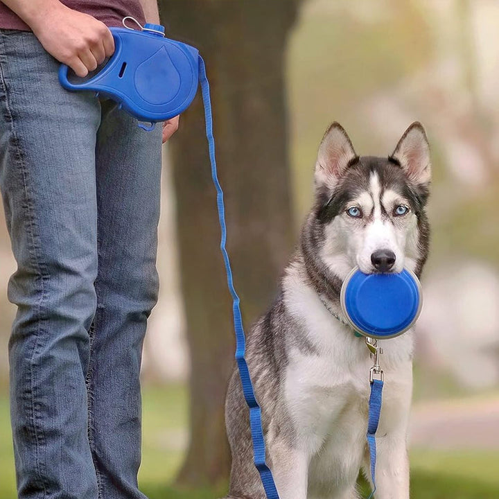 BowLift | 4 in 1 Dog Retractable Leash
