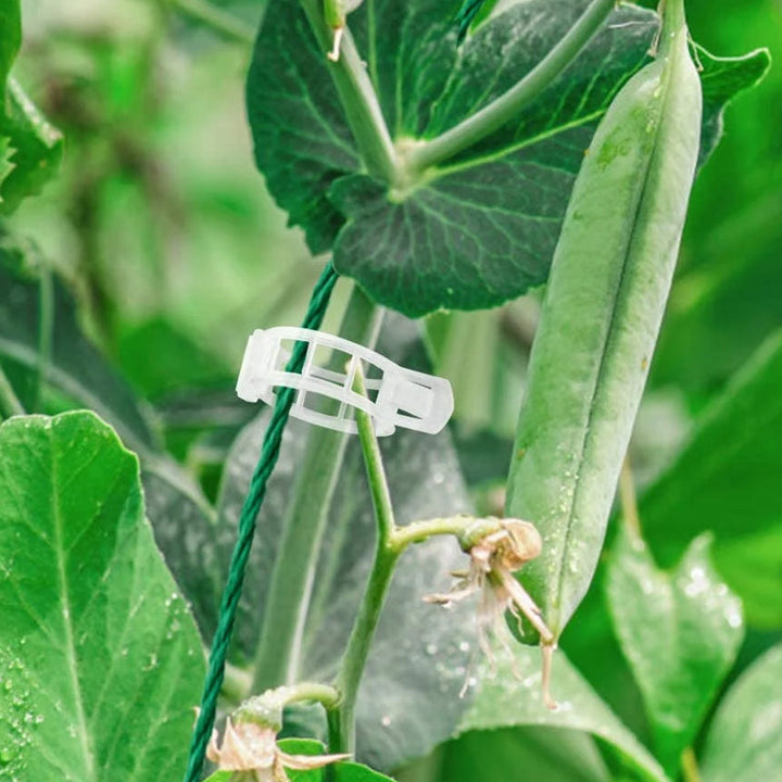 Plant support clips | Bowlift