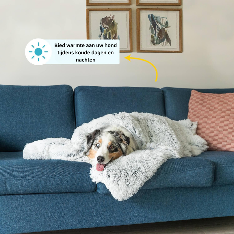 BowLift | Luxury Calming Dog Blanket – Soft, Pet-Friendly Fabric for Enhanced Sleep and Comfort, Machine Washable, Multiple Sizes Available
