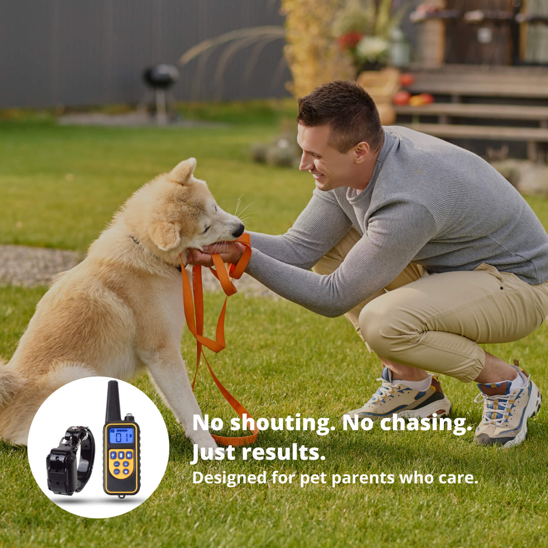 BowLift | 800M Rechargeable Electric Dog Training Collar | Waterproof, Remote Control & Ideal for Effective Dog Training