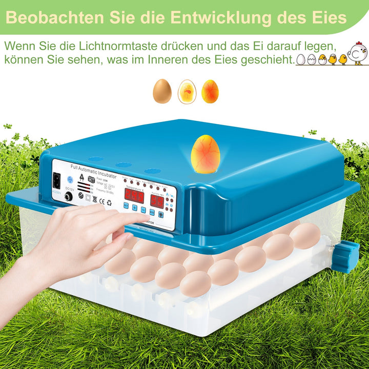 Brutautomat Fully Automatic Incubator for Chickens 36 Eggs | Bowlift
