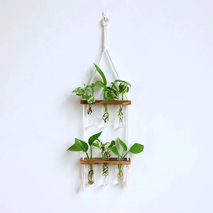 BowLift | Elegant Wooden Hydroponic Wall Vase