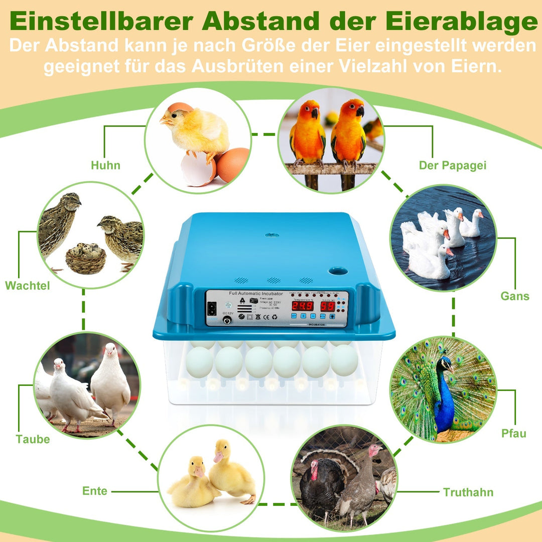 Brutautomat Fully Automatic Incubator for Chickens 36 Eggs | Bowlift