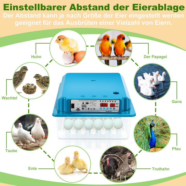 Brutautomat Fully Automatic Incubator for Chickens 36 Eggs | Bowlift
