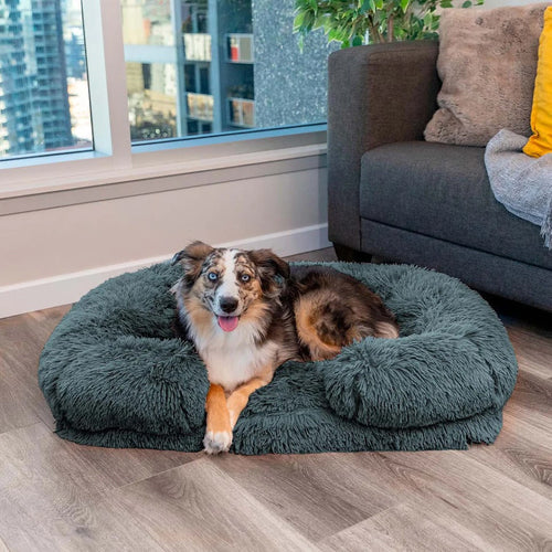 BowLift | Orthopedic Memory Foam Dog Bed with Waterproof Lining – Large Comfortable Dog Bed for Better Sleep and Support