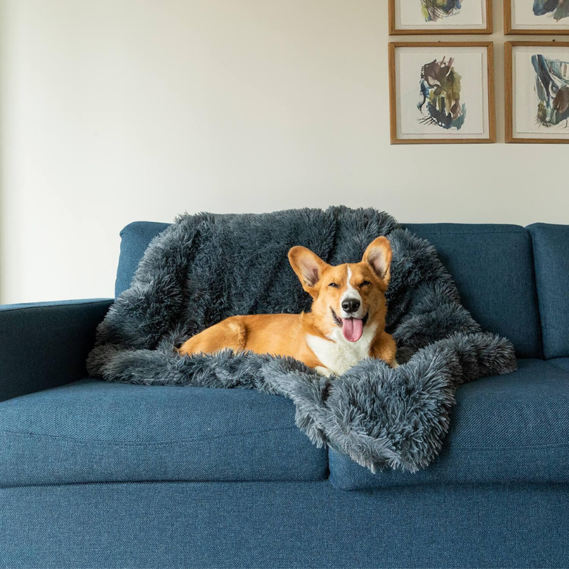 BowLift | Luxury Calming Dog Blanket – Soft, Pet-Friendly Fabric for Enhanced Sleep and Comfort, Machine Washable, Multiple Sizes Available