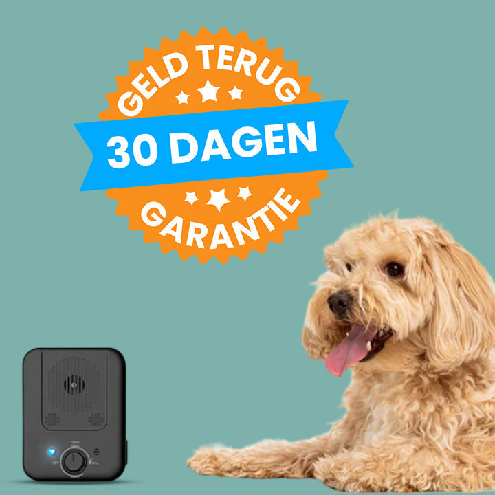 BowLift | CanineElegance Pain-Free Anti-Bark Device | Effective Bark Prevention System for a Harmonious Environment