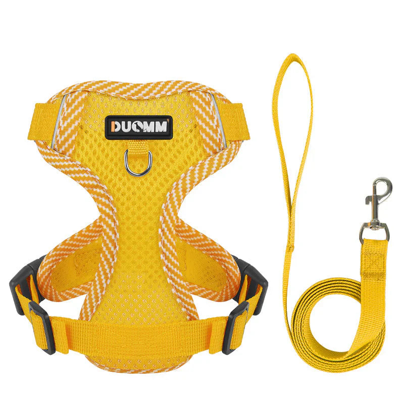 Reflective Dog Harness and Leash Set for Small Dogs – SafeStep Bowlift