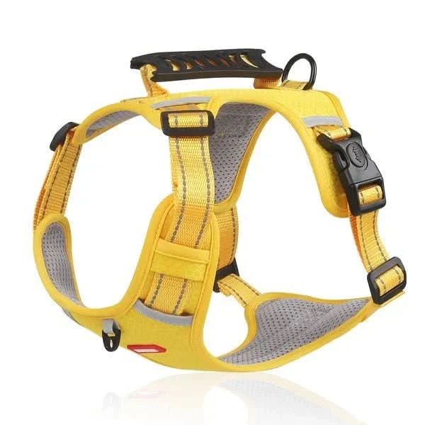 BowLift | Anti-Pull Dog Harness for Relaxed Walks