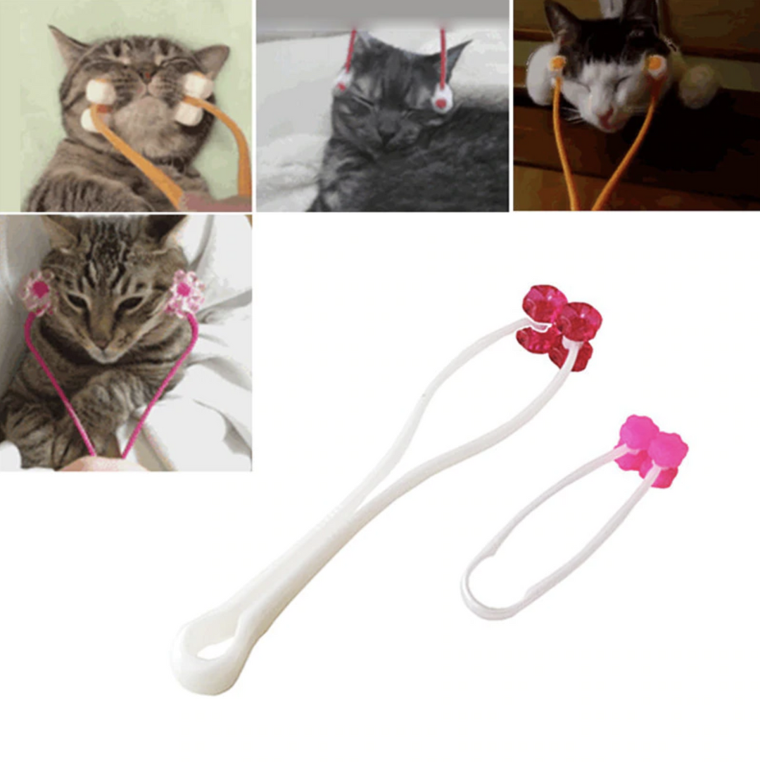 BowLift | PetSalon Cat Message Tool
