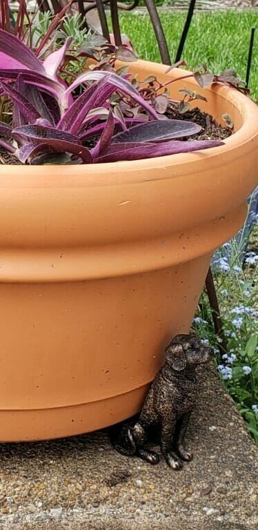 BowLift | PotStand Healthy Root Support