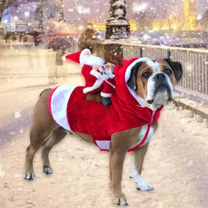 BowLift | Santa riding outfit