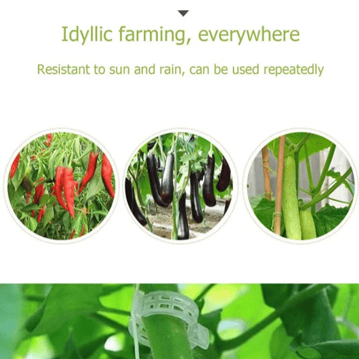 50/100/150pcs Plant Support Clips, Vine Vegetable Fastening Clips | Bowlift