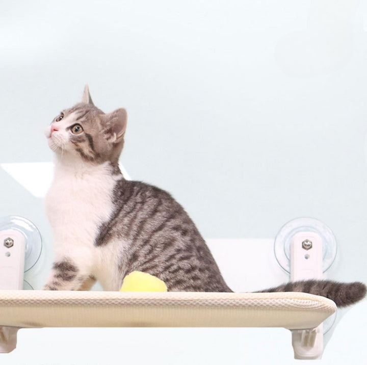 Cozy Cat Window Hammock | Bowlift