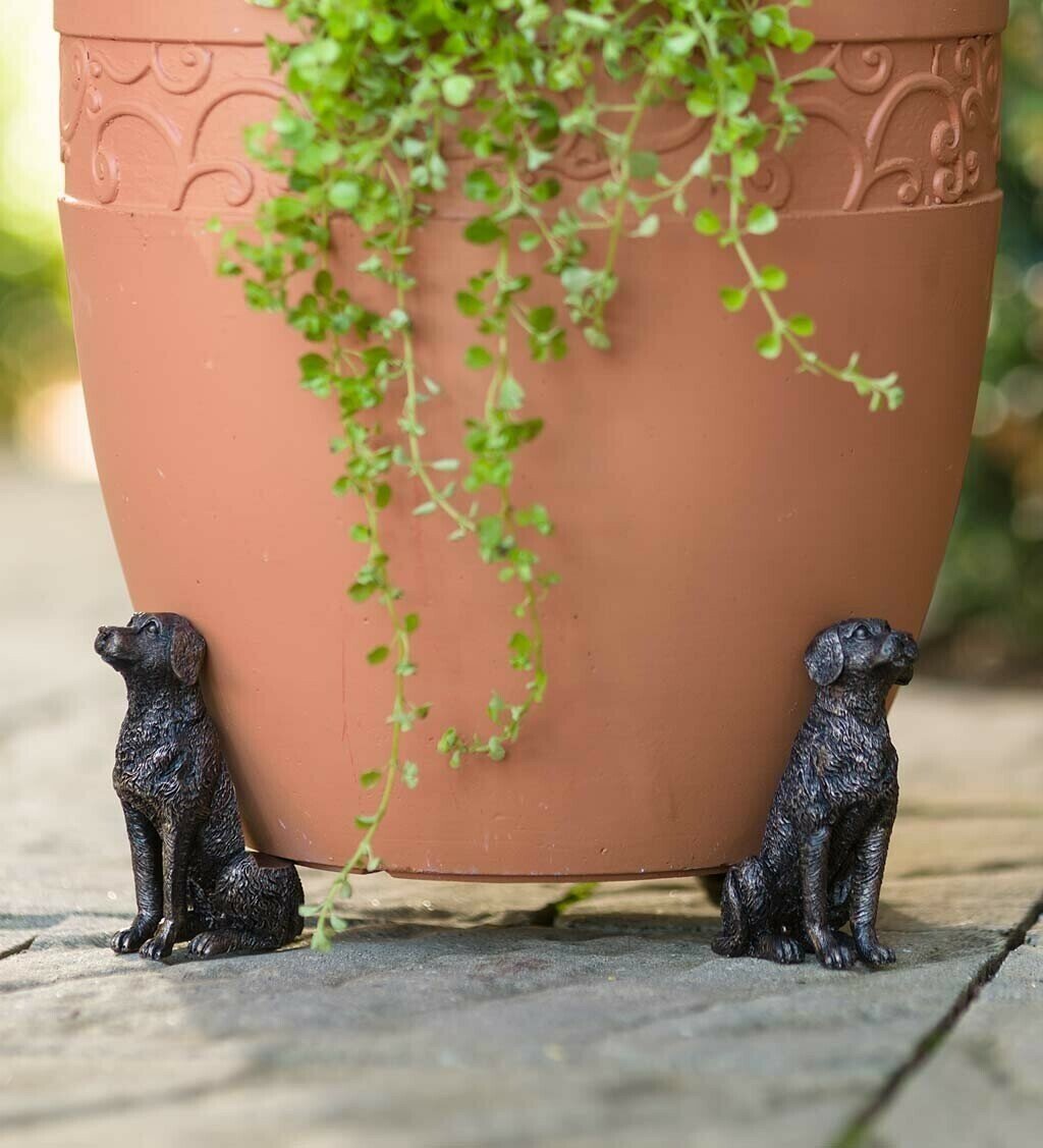 BowLift | PotStand Healthy Root Support
