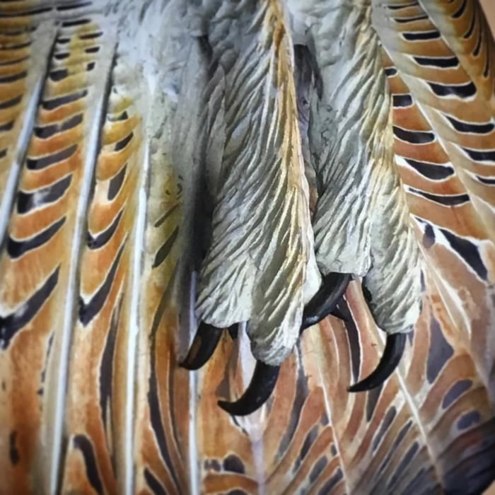BowLift | Wooden Wall Decoration – Owl “Majestic”
