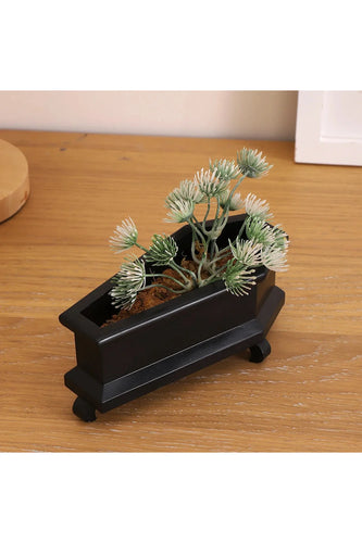 Coffin Plant Pot | Bowlift