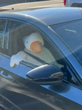 Giant Silly Goose Pillow + Plushie