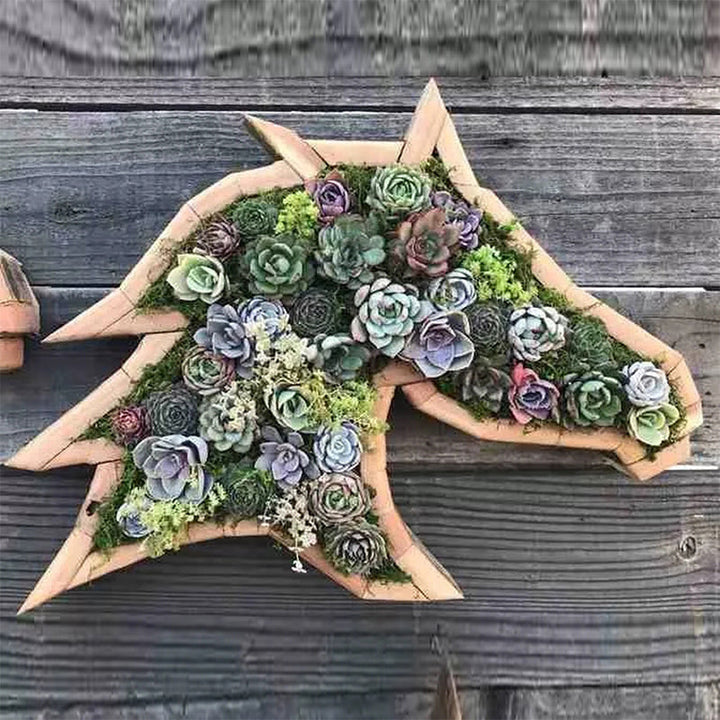 Animal Succulent Garden Arrangement | Bowlift
