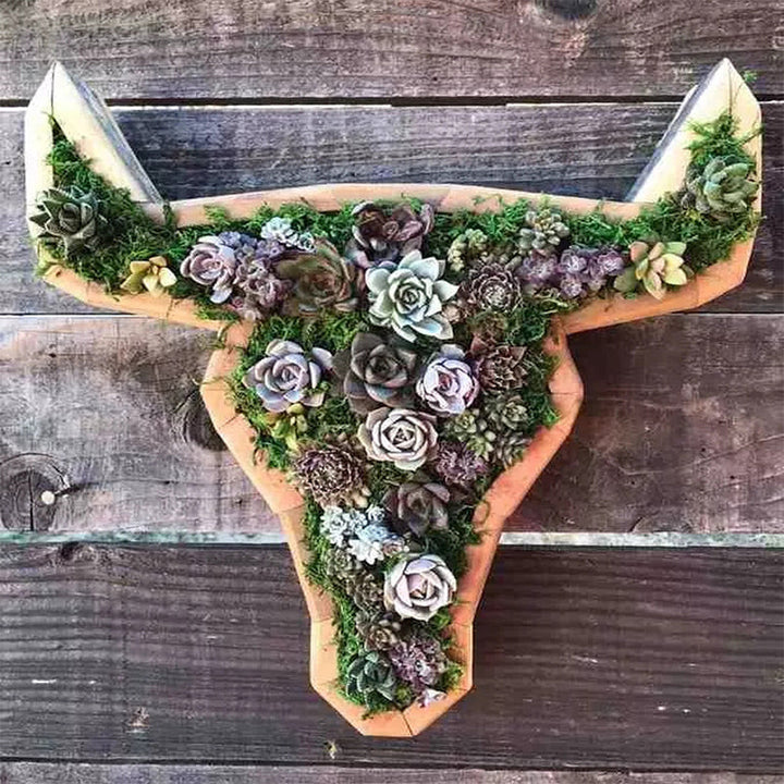 Animal Succulent Garden Arrangement | Bowlift