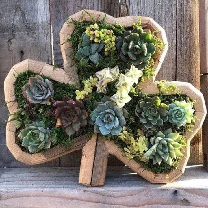 Animal Succulent Garden Arrangement | Bowlift
