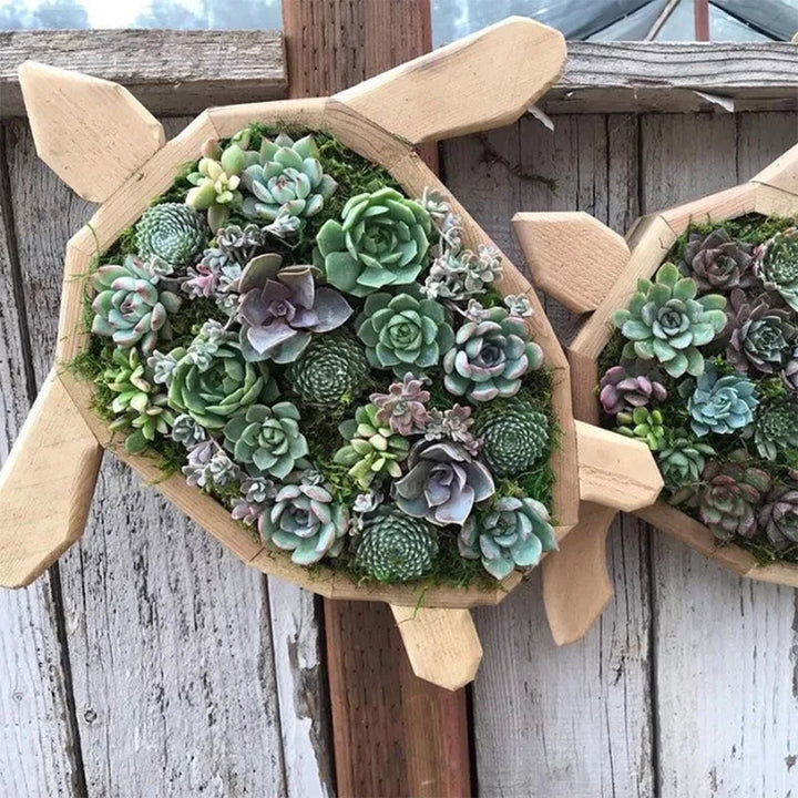 Animal Succulent Garden Arrangement | Bowlift