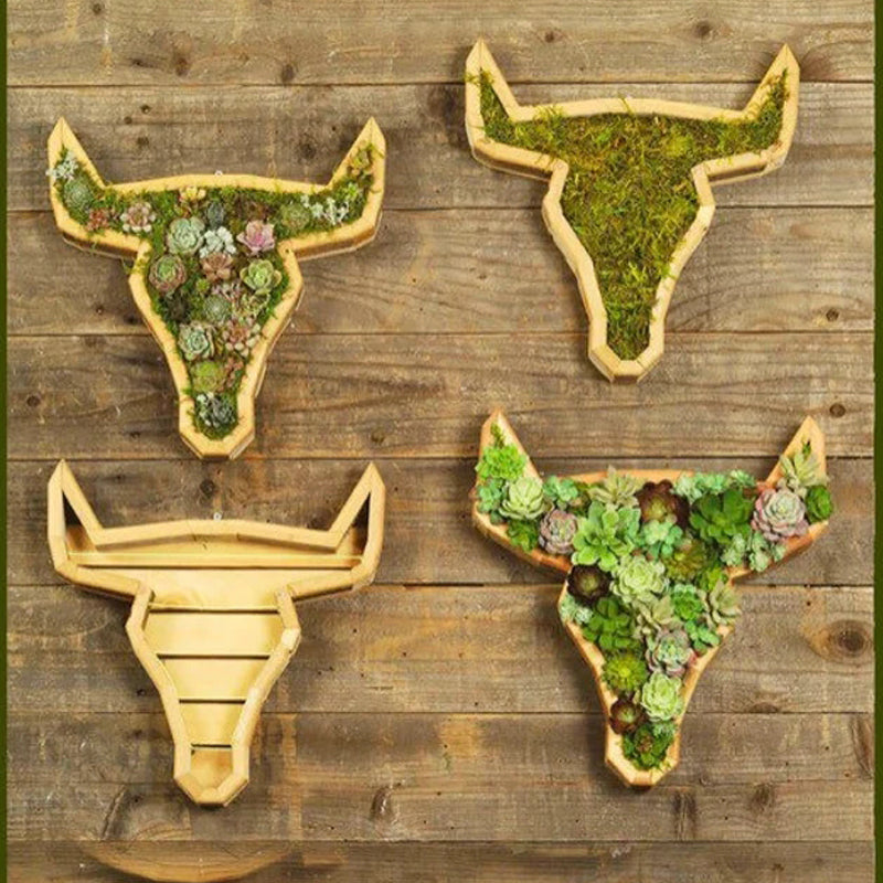 Animal Succulent Garden Arrangement | Bowlift