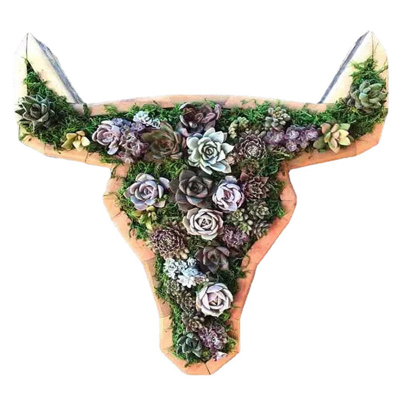 Animal Succulent Garden Arrangement | Bowlift