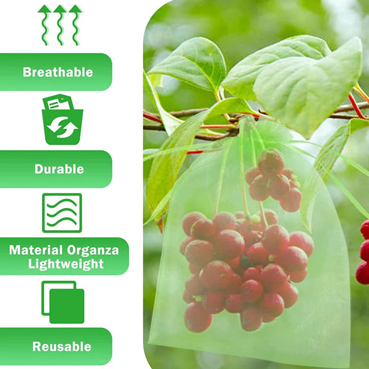 BowLift | Anti-Insect Garden Net Pockets
