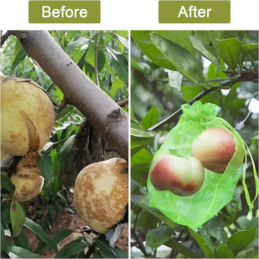 BowLift | Anti-Insect Garden Net Pockets