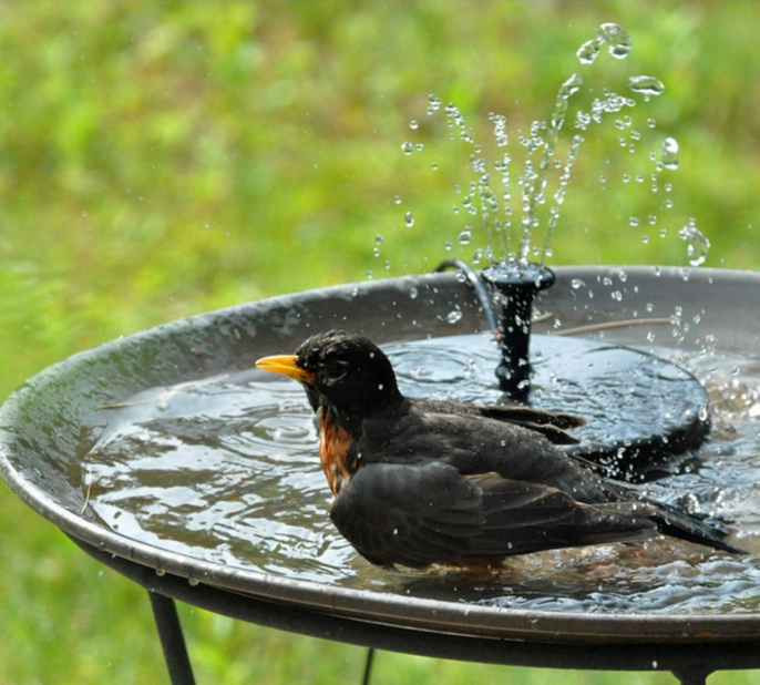 Flowbee – Elegant Solar Fountain for Garden Birds Bowlift