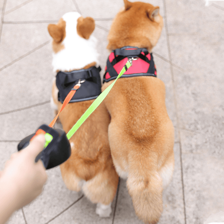 BowLift | LumiPup - Double dog leash with flashlight to wrap